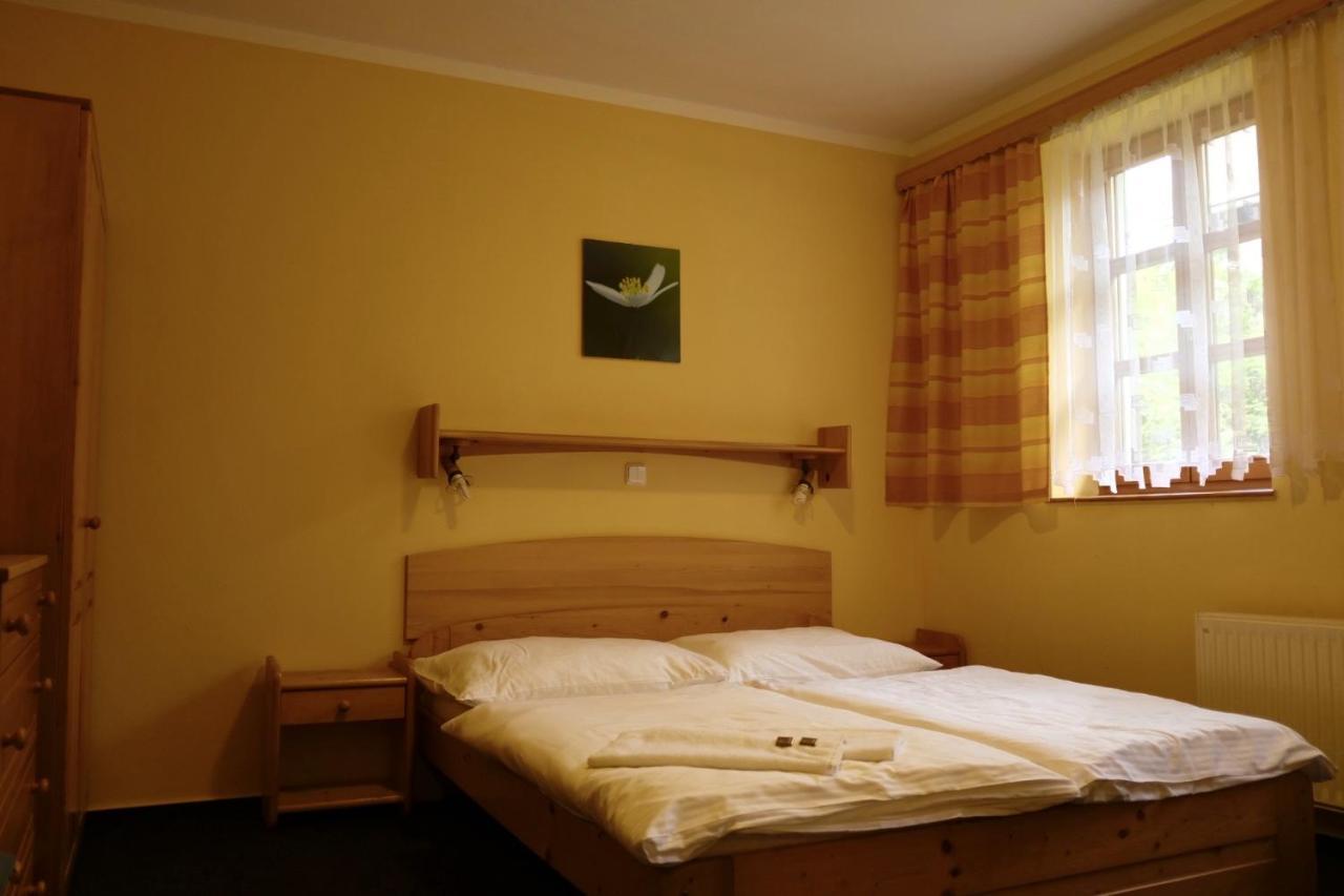 Penzion U Studeneho Potoka Nove Hute Exterior photo