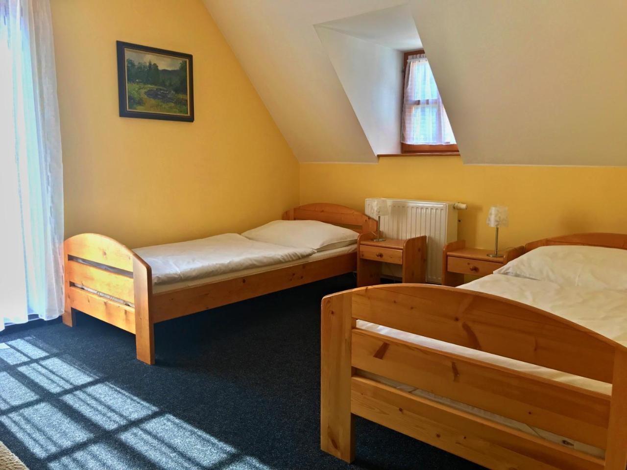 Penzion U Studeneho Potoka Nove Hute Exterior photo